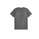 PUMA M CCP 2025 SIDELINE T-SHIRT