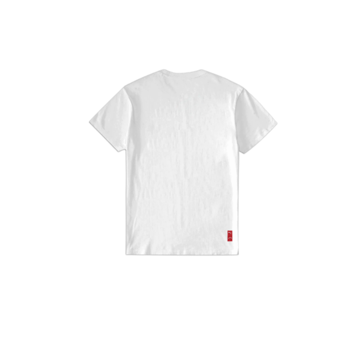 PUMA M CCP 2025 SIDELINE T-SHIRT