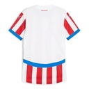PUMA M PARAGUAY HOME JERSEY REPLICA