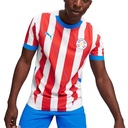 PUMA M PARAGUAY HOME JERSEY REPLICA
