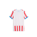 PUMA M APF HOME JERSEY