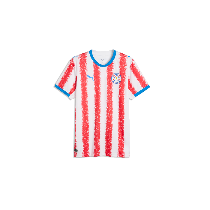 PUMA M APF HOME JERSEY