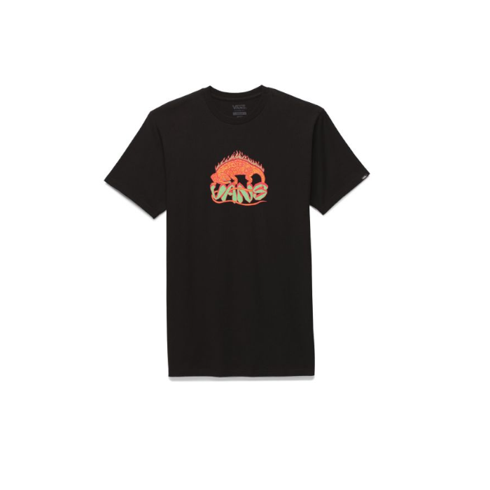 VANS M FIERY FRIEND SS TEE