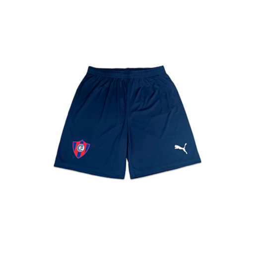 PUMA M CCP 2025 TRAINING SHORT