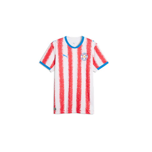 PUMA M APF HOME JERSEY